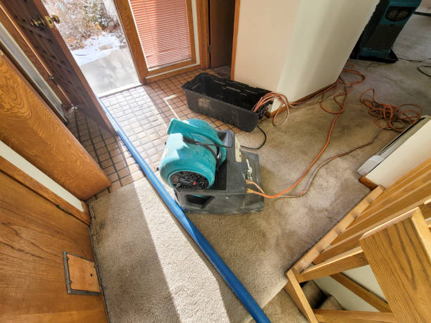 Best Professional water damage repair  in Delhi Hills, OH