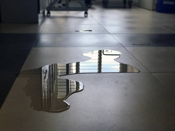 Best Professional water damage repair  in Delhi Hills, OH