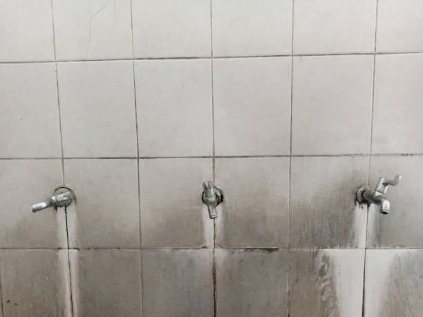Best Water damage mitigation services  in Delhi Hills, OH